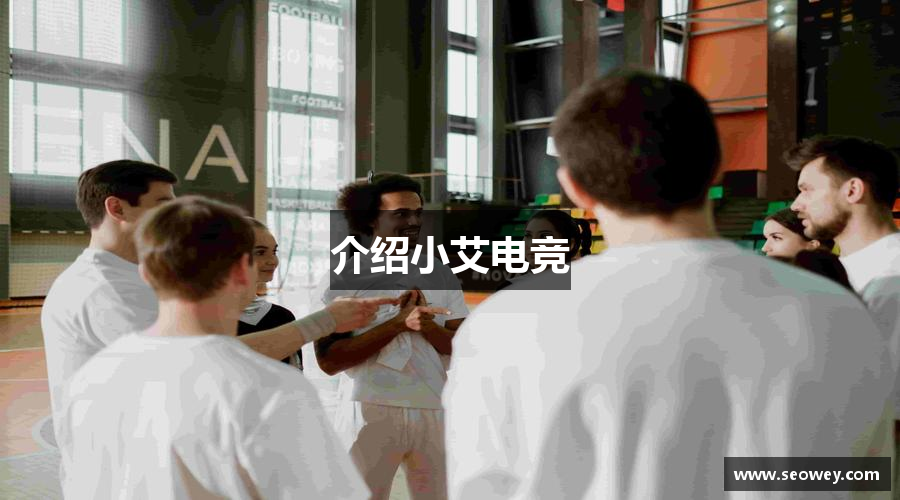 介绍小艾电竞